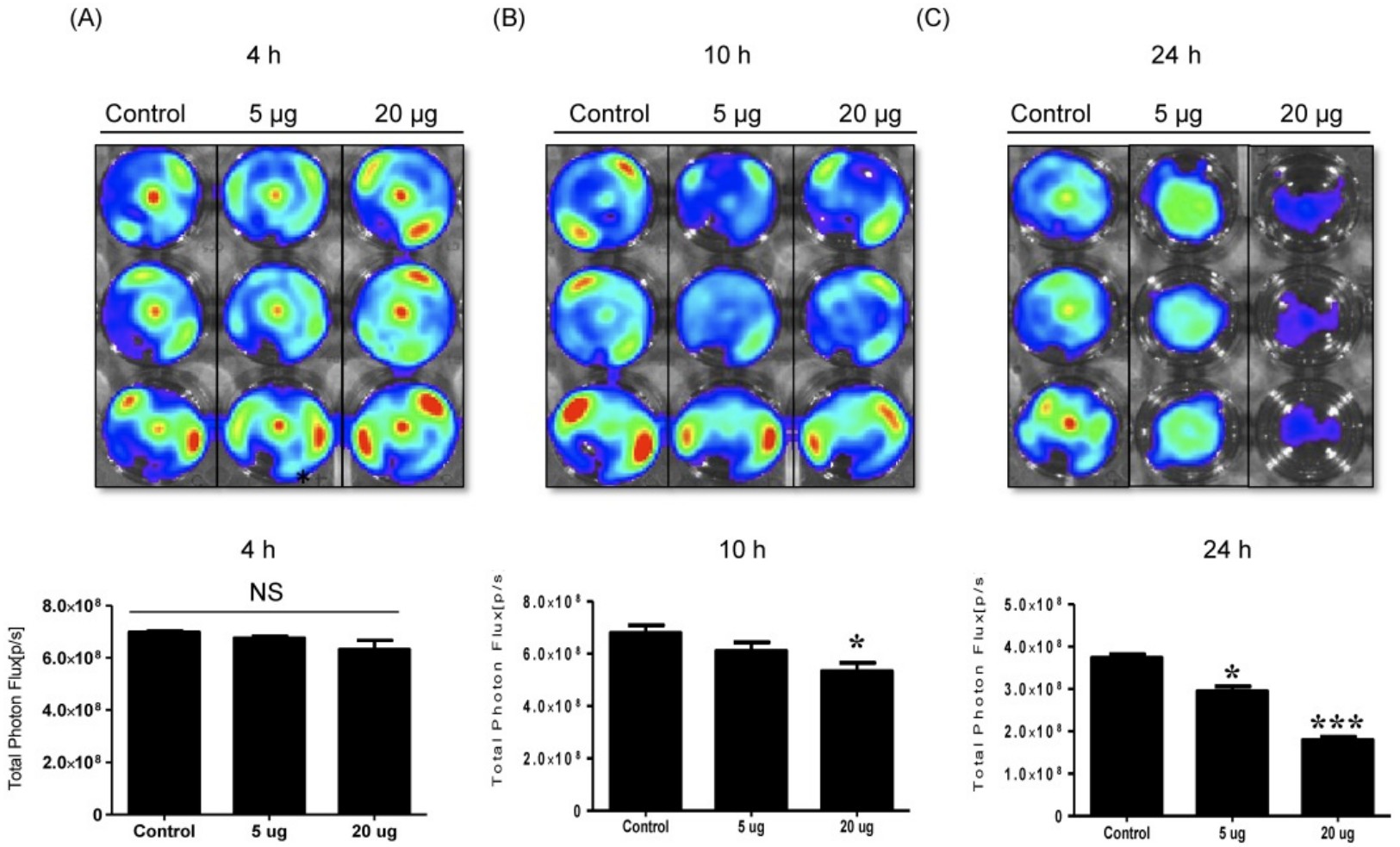 NK cell-derived exosomes reduce viability of melanoma cells in a time- and dose-dependent manner as shown by BLI and CCK-8 assays.